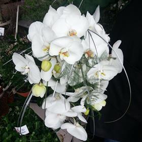 fwthumb20140510_093427 (2).jpg